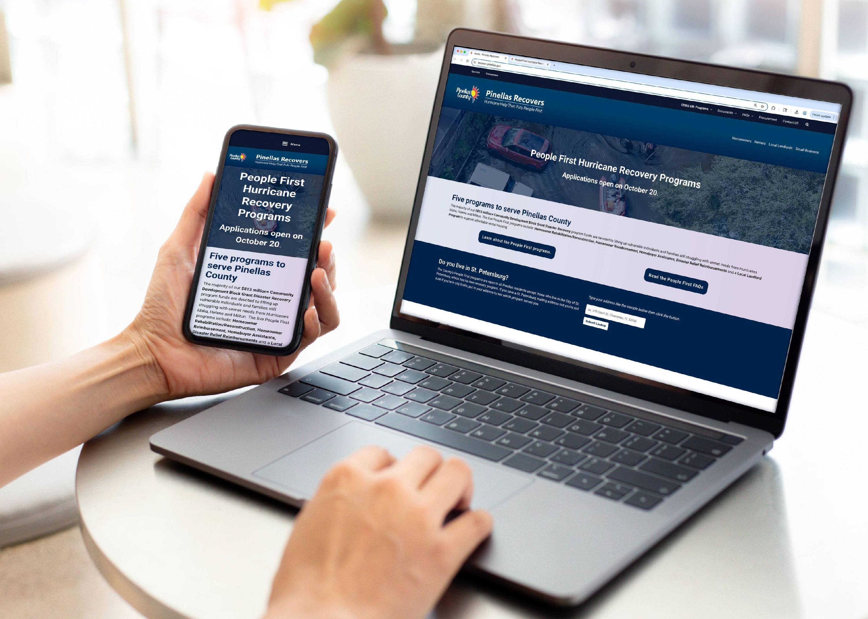 Pinellas_Recovers_person_Browsing_mainPage - Copy - Copy - Copy (2) - Copy